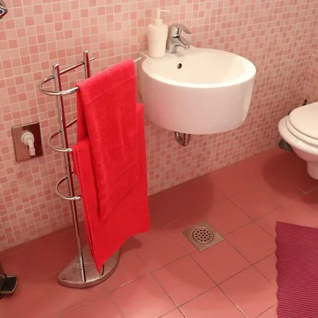 Fleger Krcka プナト