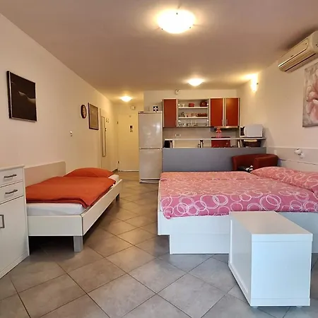 Fleger Krcka * 푸나트